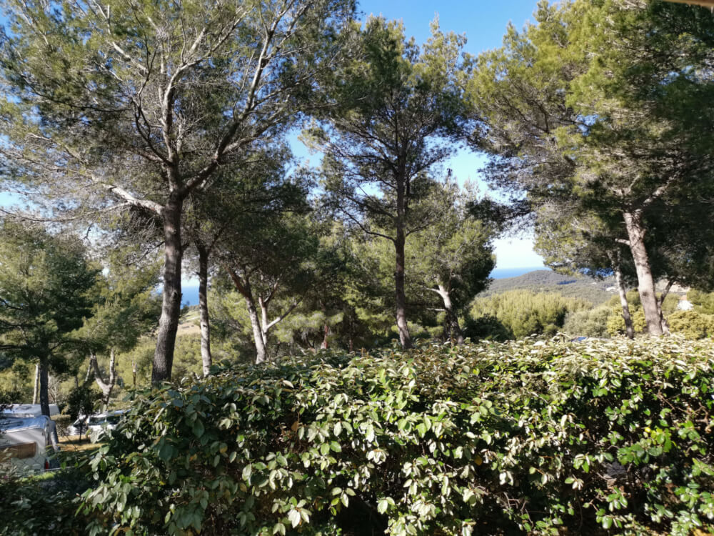 Vue à partir de la Location Lodge Porquerolles