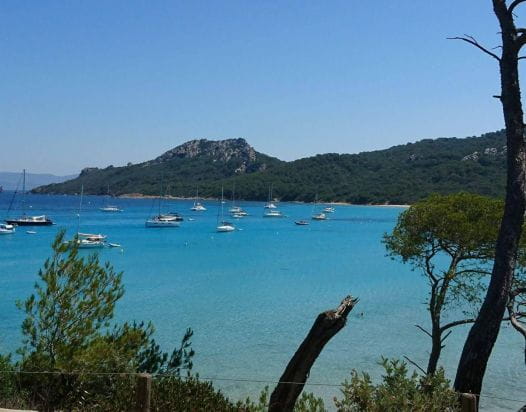 camping sanary (16)